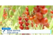 邵陽市兩會關注數(shù)字農業(yè)，構建鄉(xiāng)村振興的數(shù)字藍海