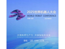 2025世界機器人大會蓄勢待發(fā)，人形機器人市場火熱迎接產(chǎn)業(yè)新紀(jì)元